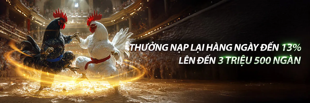 Săn cá dưới đáy đại dương cùng 8k bet