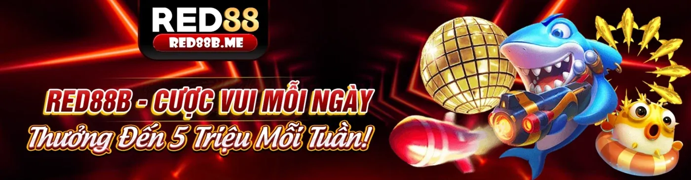 Đăng nhập 8k bet nhanh chóng và an toàn để trải nghiệm cá cược đỉnh cao