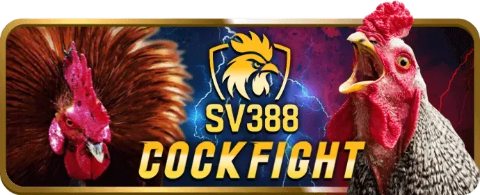 Kinh nghiệm chơi nổ hũ hiệu quả tại 8k bet